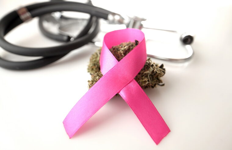 Therapeutic Cannabis Is Not a Proven Cure for Cancer