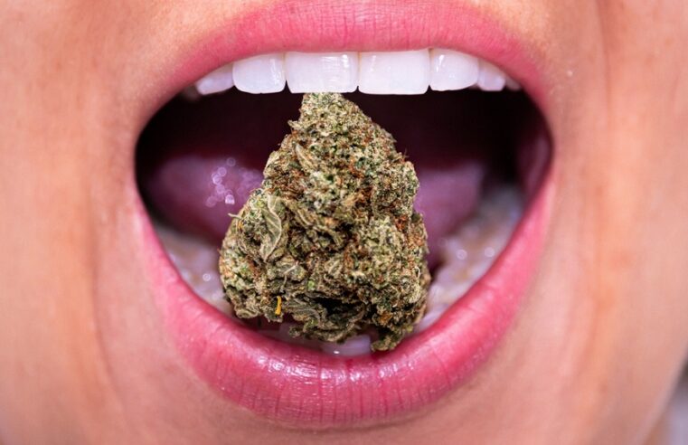 Dentists Warn Against Pre-Visit Cannabis Consumption
