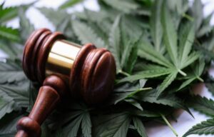 Cannabis Legalization