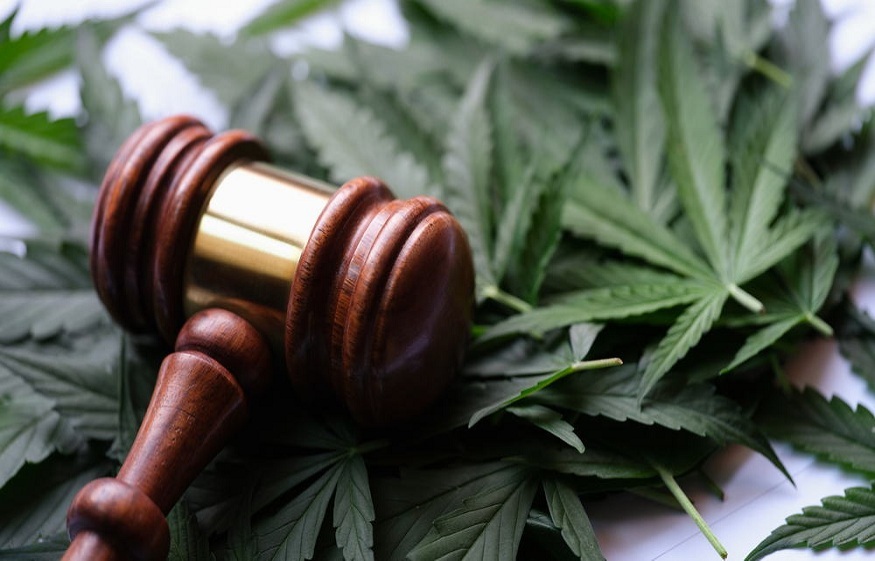 Cannabis Legalization Isn’t the Panacea It’s Often Portrayed As